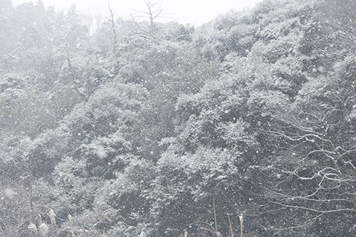 フリー写真素材274「山に降る雪」