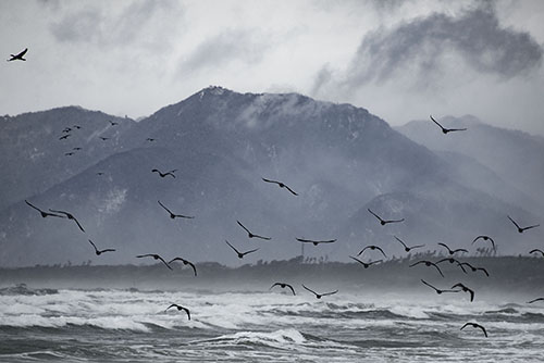 フリー写真素材282「山と海と鳥」