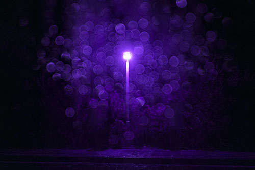 フリー写真素材296「夜道を照らす街灯（紫色）」