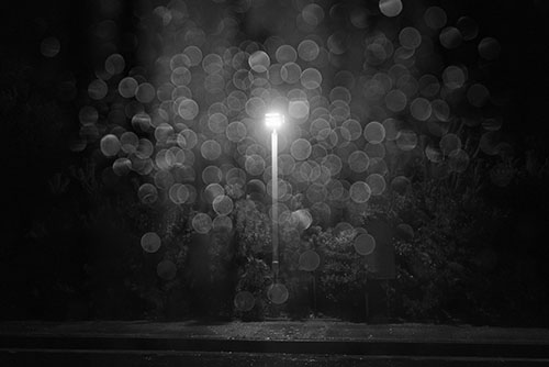 フリー写真素材300「夜道を照らす街灯（白黒）」
