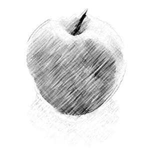 デッサンしたリンゴの無料背景画像