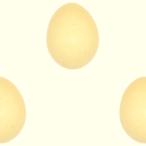 シンプルな卵の無料背景画像