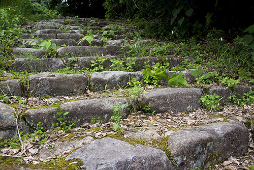 フリー写真素材177「石の階段」