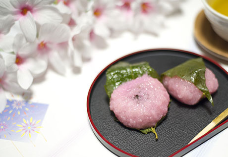 桜餅のフリー写真素材5