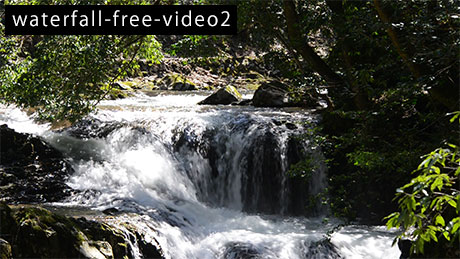 滝のフリー動画素材2