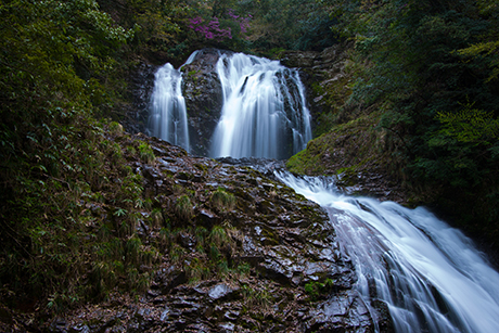 滝のフリー写真素材1