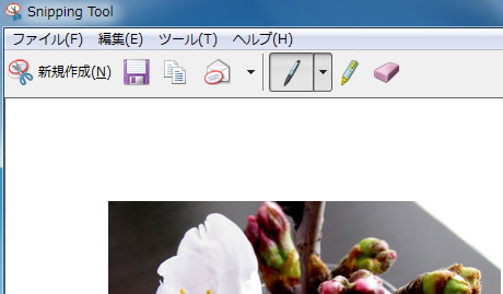 Snipping Tool の編集画面