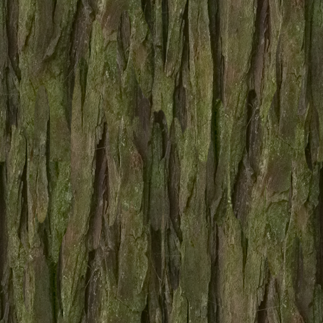 木の無料背景画像1