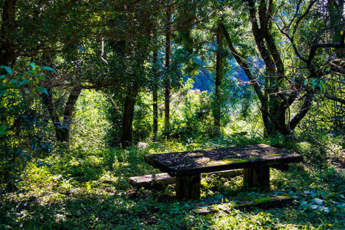 2016年9月撮影のフリー写真素材200「木のテーブルとベンチ」