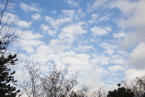 フリー写真素材196「青空と白い雲」