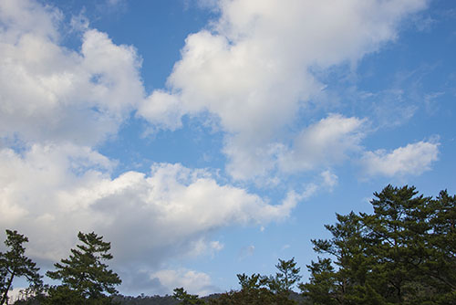 フリー写真素材222「木々と白い雲」