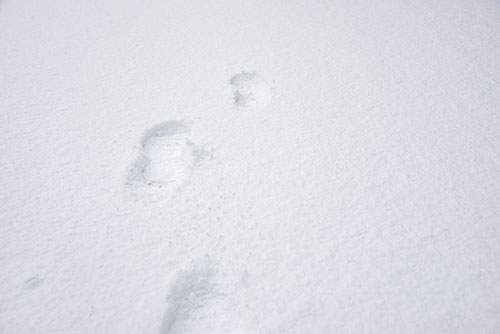 フリー写真素材247「雪の中の足跡」