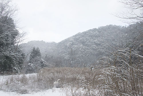 フリー写真素材273「山に積もった雪」