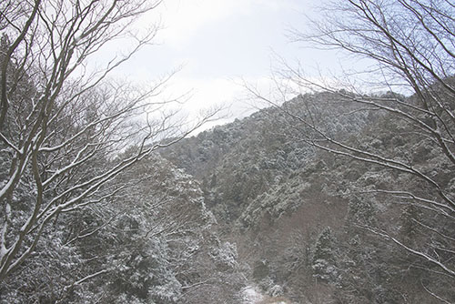 フリー写真素材275「山林と雪」