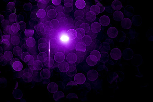 フリー写真素材293「背の高い街灯（紫色）」