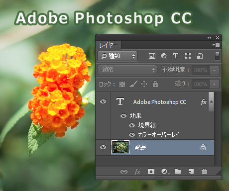 Adobe Photoshop CC で編集