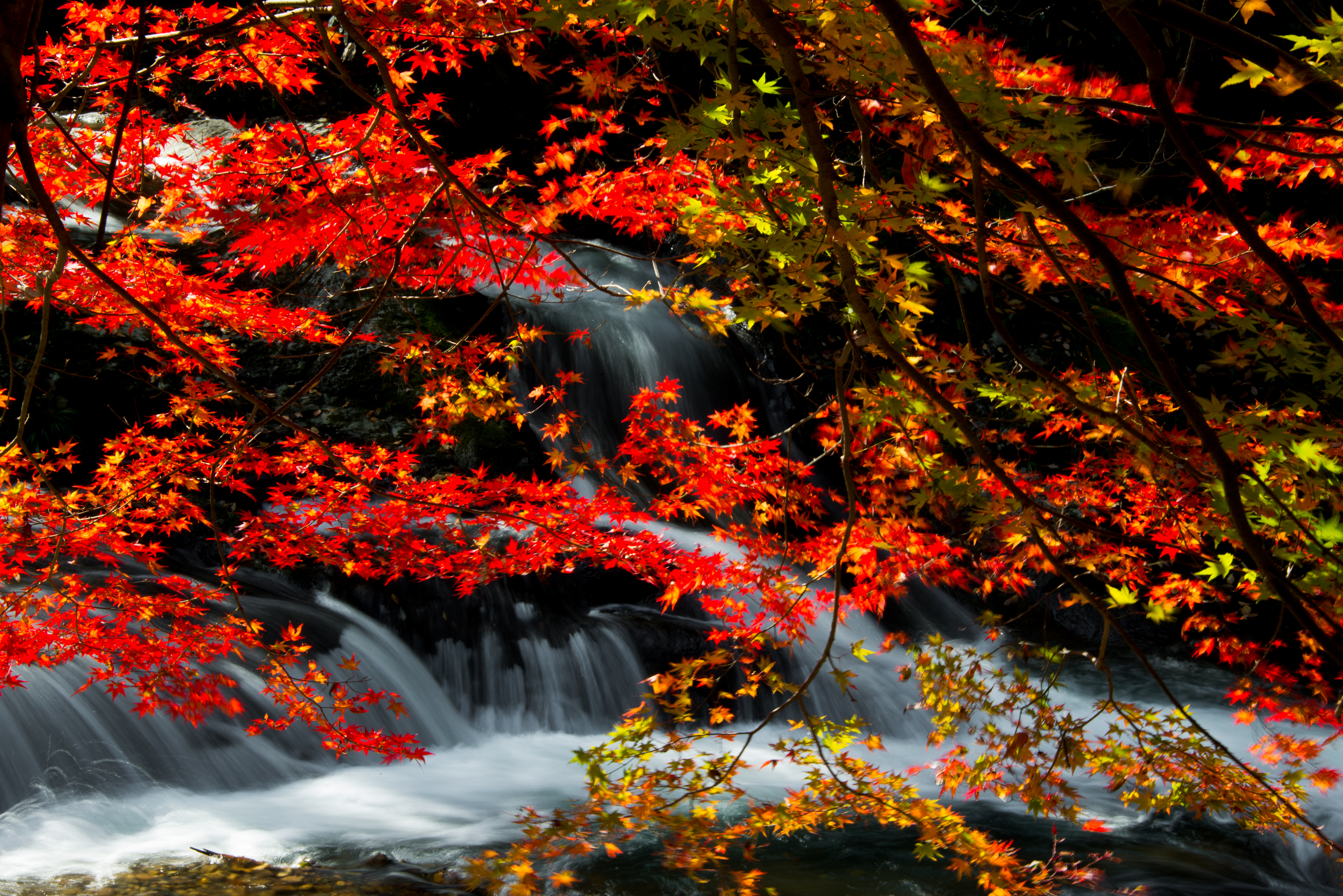 日本の風景写真5 滝の紅葉 13年11月撮影 フリー写真素材 カフィネット