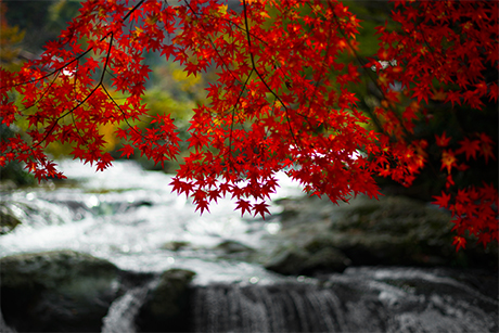滝の紅葉のフリー写真素材5