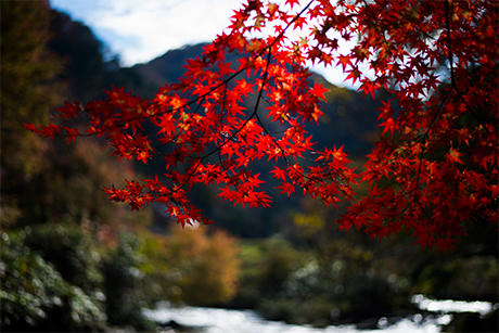 滝の紅葉のフリー写真素材7