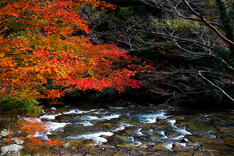 滝の紅葉のフリー写真素材8