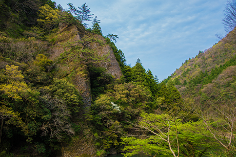 日本の風景写真8（山）