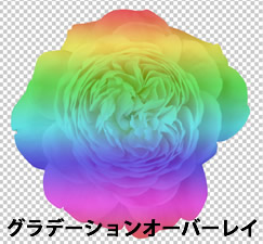 Photoshop CS5 グラデーションオーバーレイを適用した花の画像