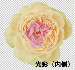 Photoshop CS5 光彩（内側）を適用した花の画像