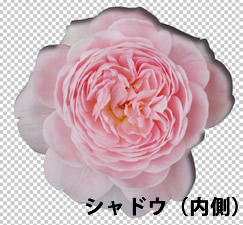 Photoshop CS5 シャドウ（内側）を適用した花の画像