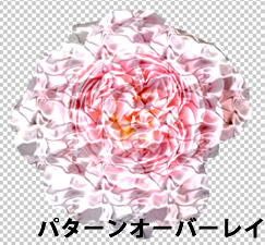 Photoshop CS5 パターンオーバーレイを適用した花の画像