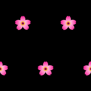 桜の花の無料背景画像（黒色）