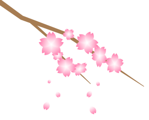 桜の花（枝付き）の無料アイコン１
