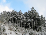 フリー写真素材184「雪山と青空」
