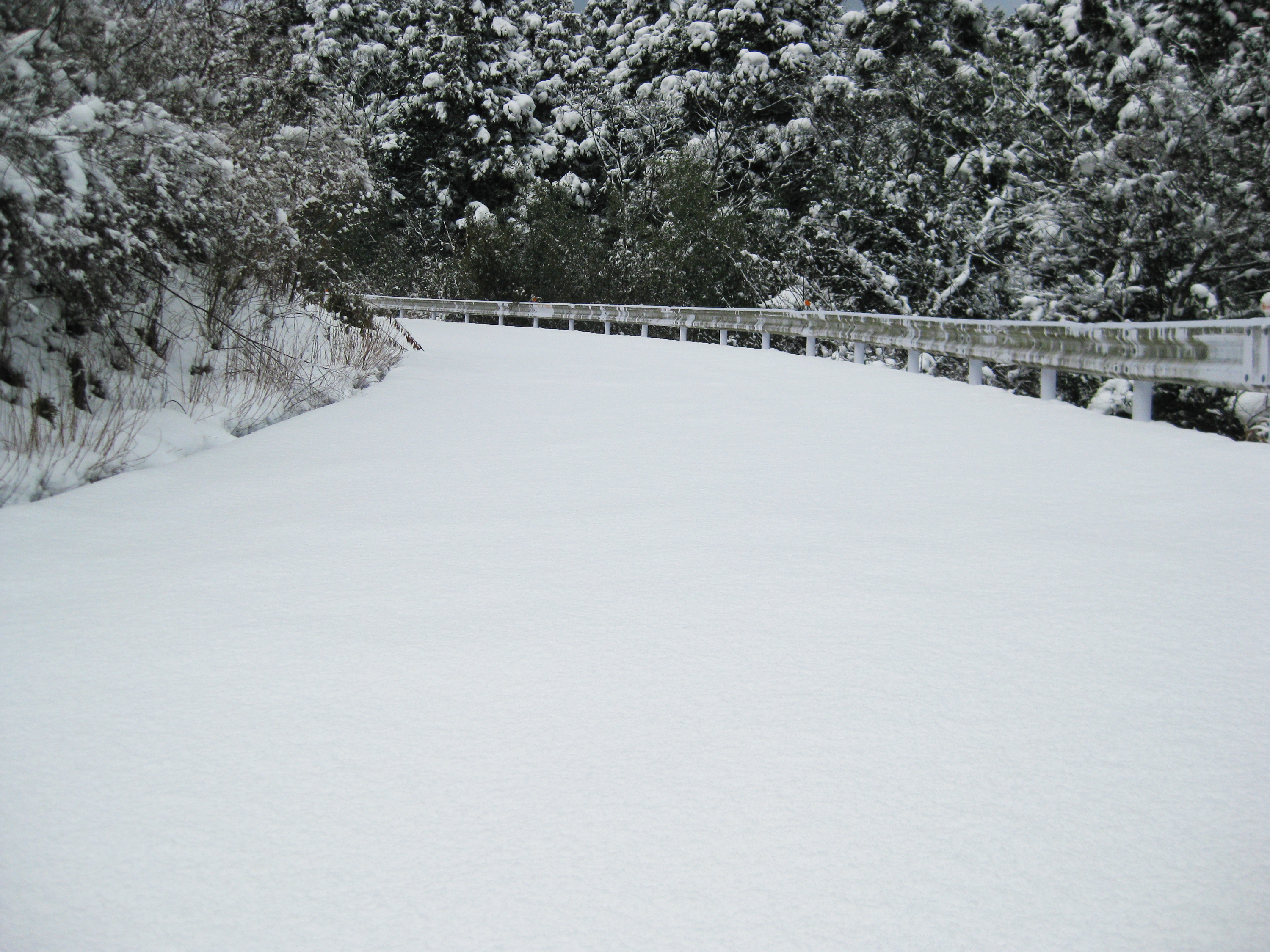 雪のフリー 無料 写真素材集 カフィネット