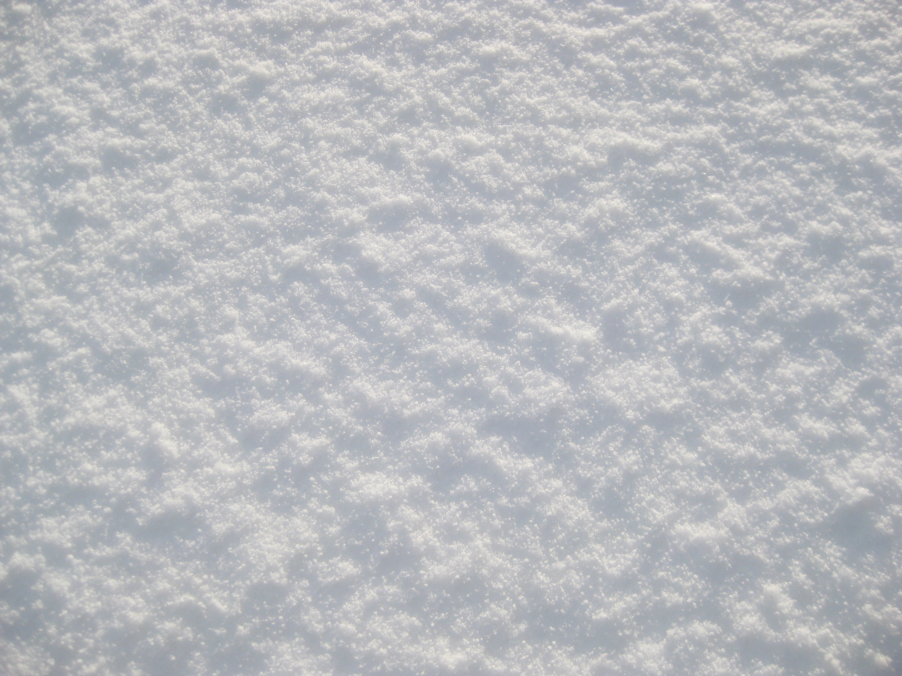 雪のフリー 無料 写真素材集 カフィネット