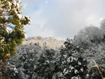 フリー写真素材194「空と雪山」