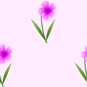 スミレの花（桃色）の無料背景画像