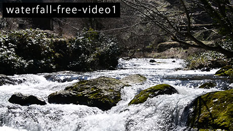 滝のフリー動画素材1