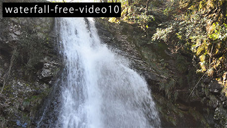 滝のフリー動画素材10