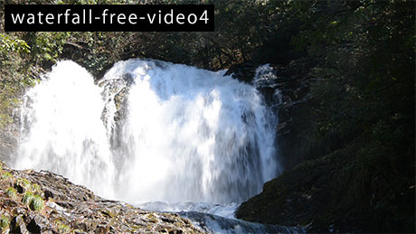 滝のフリー動画素材4