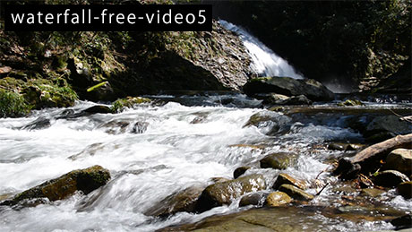滝のフリー動画素材5